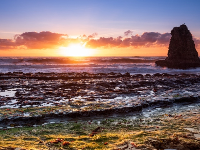 Большой камень в морской воде на рассвете 