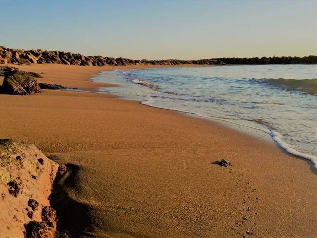 Камни на мокром песке к моря 