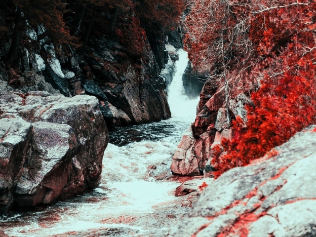 Быстрый ручей протекает между камней осенью