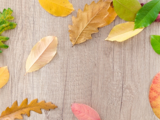 Разноцветные опавшие листья на деревянном фоне осенью 