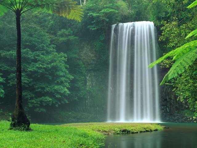Водопад Миллаа Миллаа  в зеленых зарослях, Австралия