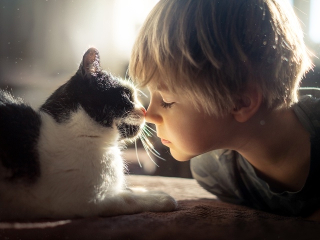 Маленький мальчик лежит с котом 