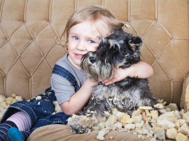 Маленький мальчик сидит на диване с собакой породы Шнауцер