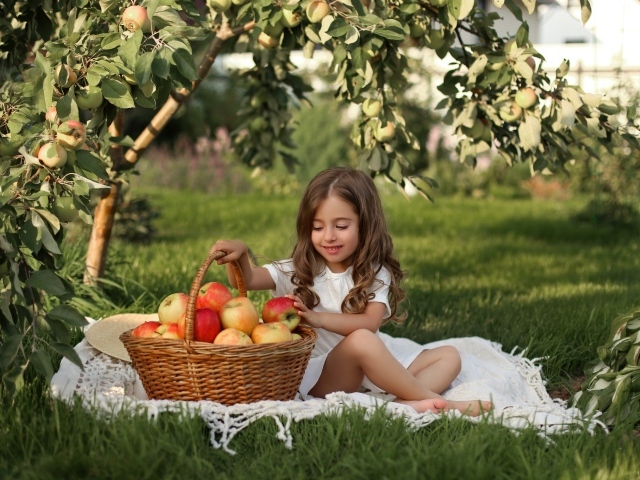 Маленькая девочка сидит с корзиной с яблоками на траве