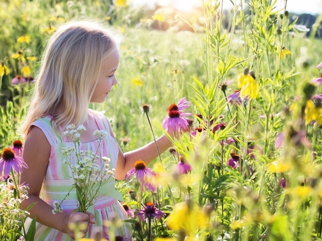 Маленькая девочка гуляет на поле с цветами эхинацеи 