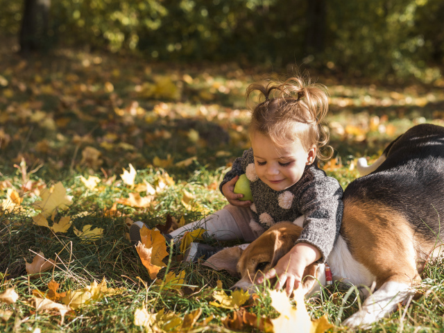 Маленькая девочка с собакой в осеннем лесу