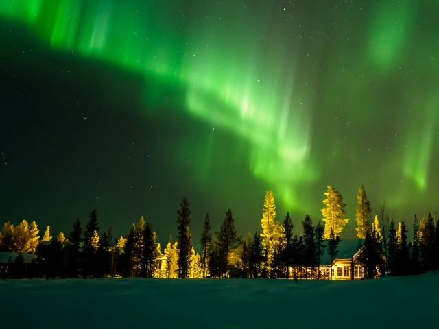 Красивое зеленое северное сияние в ночном небе над лесом 