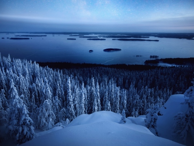 Вид на заснеженный лес у покрытой льдом реки зимой