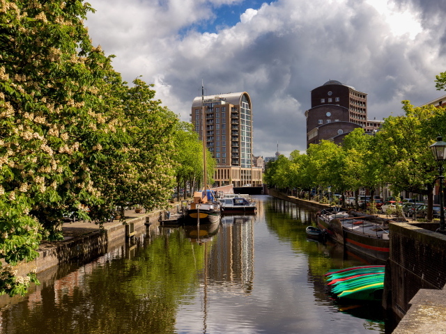 Водный канал в городе с цветущими каштанами, Нидерланды 