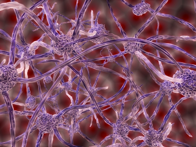 Нервные клетки под микроскопом 3д графика