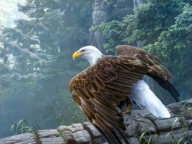 Большой белоголовый орлан сидит на столбе 