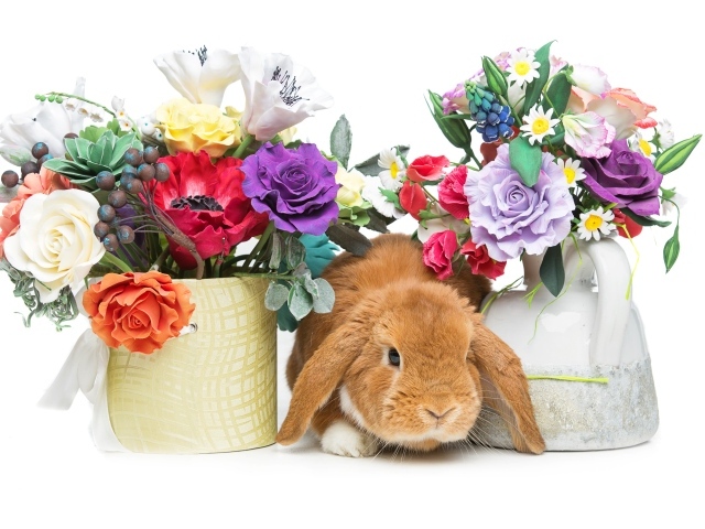 Декоративный рыжий кролик с цветами на белом фоне
