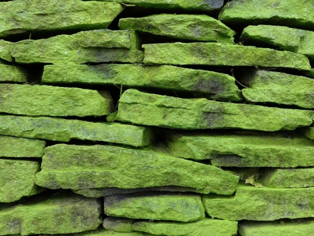 Зеленые покрытые мхом камни на стене, фон 