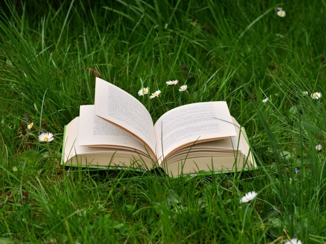 Открытая книга лежит на зеленой траве 