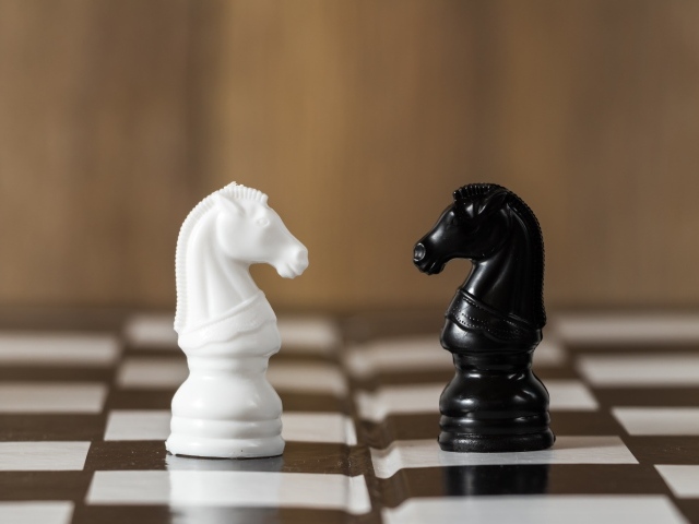 Черный и белый шахматный конь