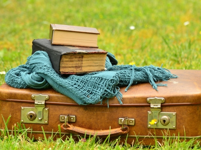 Старый чемодан с книгами и шарфом на траве