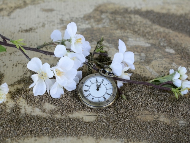 Часы лежат на земле с цветущей веткой 