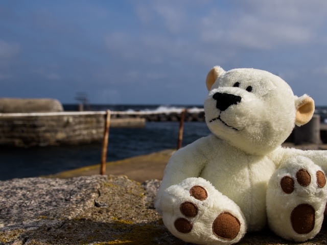 Белый плюшевый медведь сидит на камне у моря