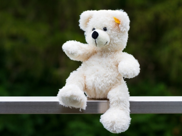 Белый плюшевый медведь сидит на деревянной доске