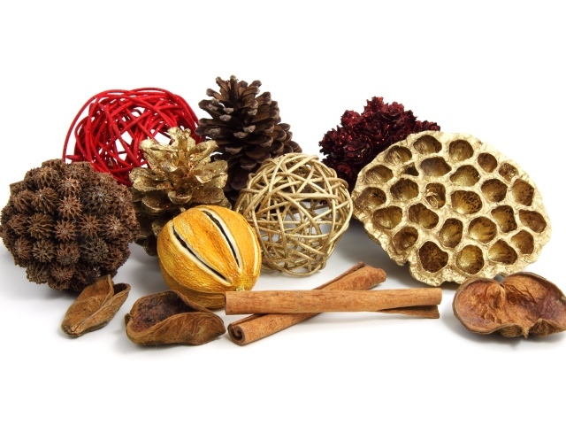 Ароматные специи и шишки на белом фоне 