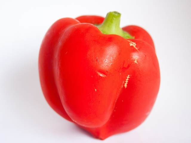 Большой красный болгарский перец на сером фоне