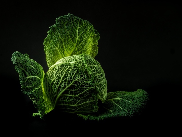 Зеленая капуста на черном фоне крупным планом
