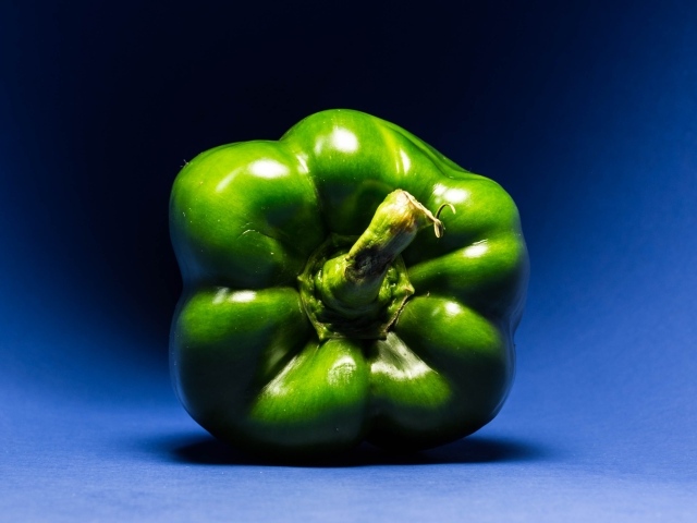 Зеленый перец паприка на синем фоне