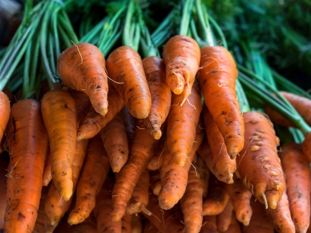 Много оранжевой моркови крупным планом 
