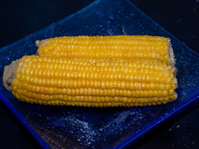 Два желтых початка кукурузы на синей тарелке