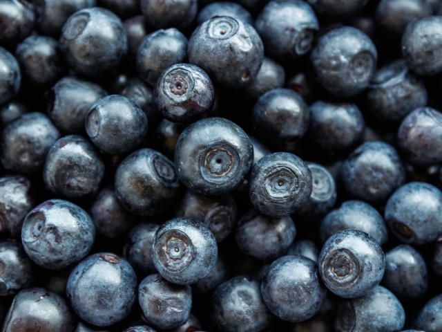 Ягоды черники крупным планом 