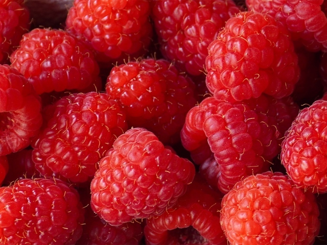 Красные сладкие ягоды малины крупным планом 