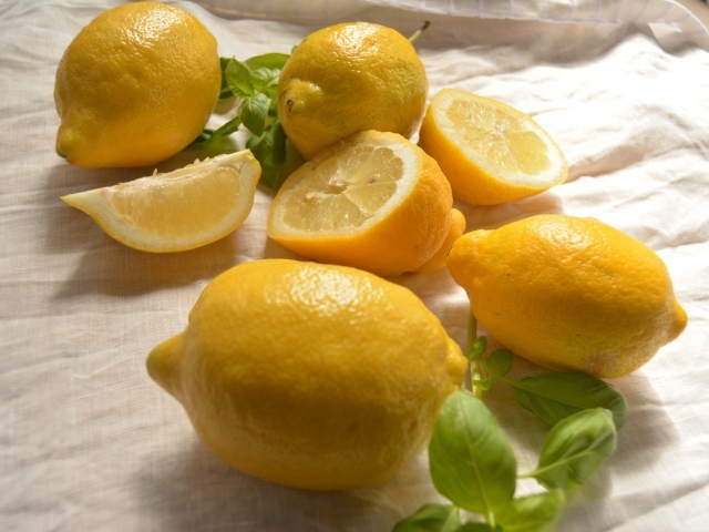 Желтые кислые лимоны с листьями базилика 