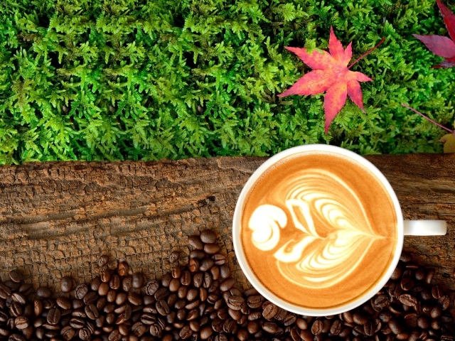 Белая чашка кофе на бревне с мхом