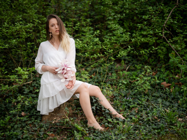Молодая девушка в белом платье сидит на камне в лесу 