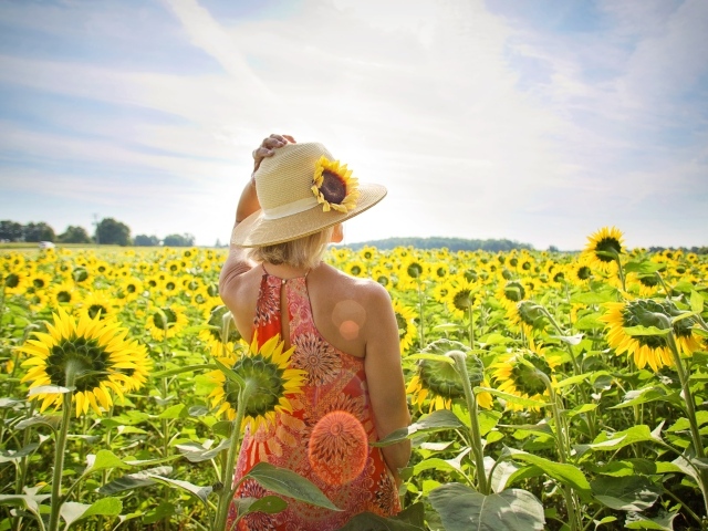 Красивая девушка в шляпке на поле с подсолнухами летом
