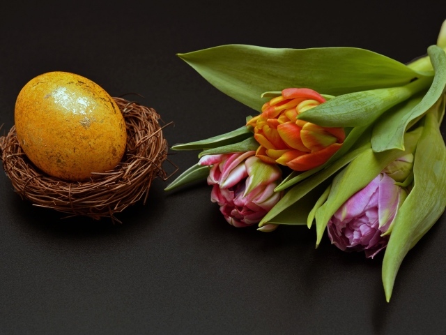 Крашеное яйцо с тюльпаном на черном фоне на Пасху
