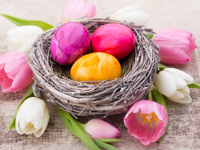 Три разноцветных яйца в гнезде с тюльпанами на праздник Пасха