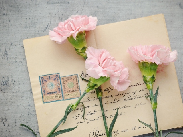 Три розовые гвоздики с письмом на столе на 9 мая