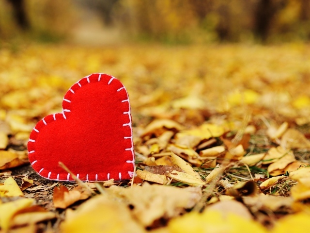 Красное сердце из ткани лежит на сухой листве