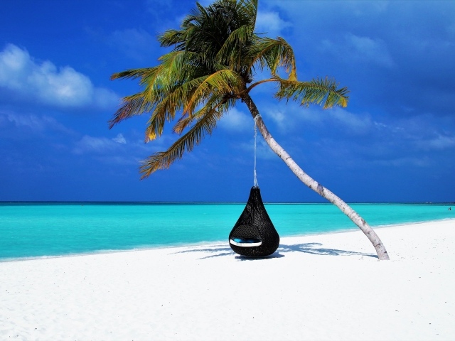 Черное кресло на пальме на тропическом пляже с белыми песком