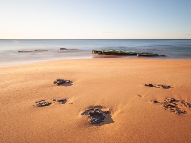Камни в песке на берегу моря 