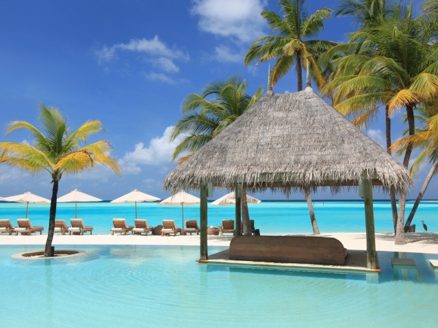 Шезлонги и пальмы на тропическом пляже у океана с голубой водой