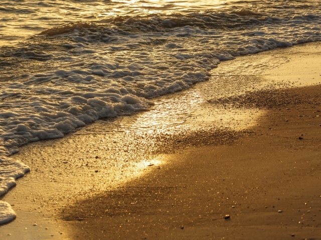 Белая морская пена на желтом мокром песке на пляже