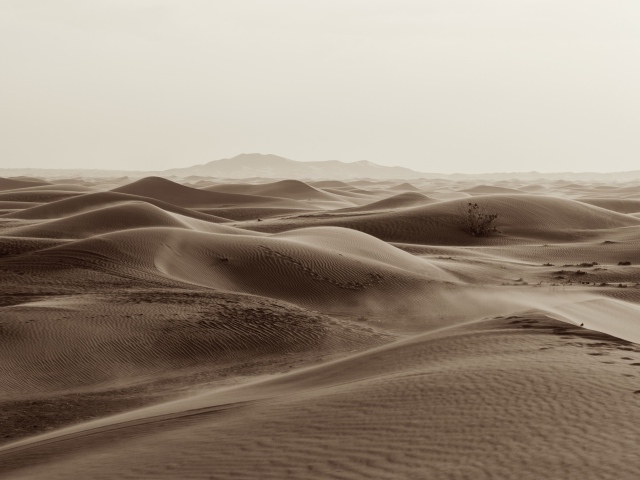 Бескрайние пески пустыни 