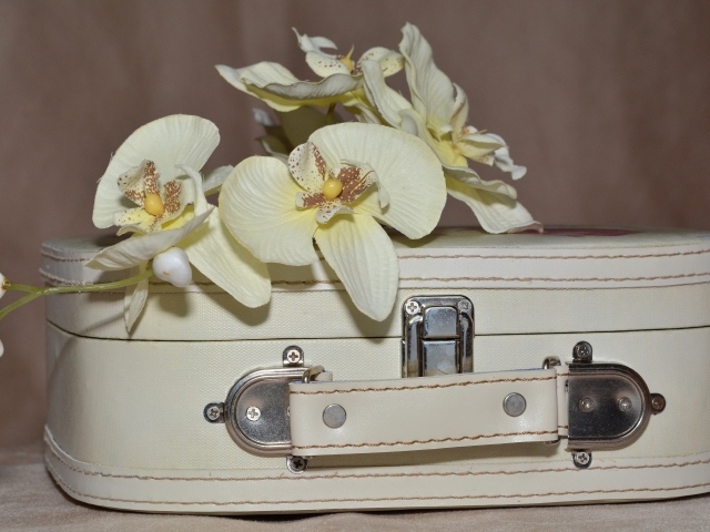Ветка цветов орхидеи лежит на белом чемодане