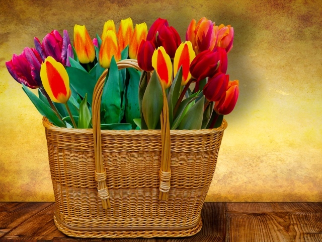 Красивый букет тюльпанов в корзине на фоне стены