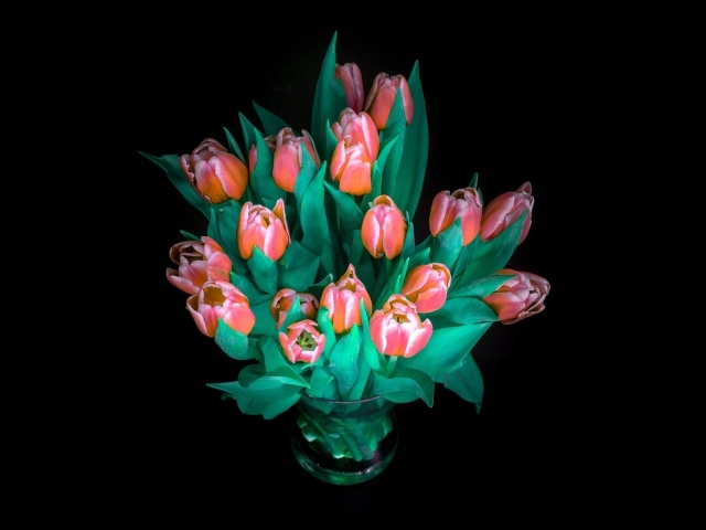 Красивый букет тюльпанов в вазе на черном фоне