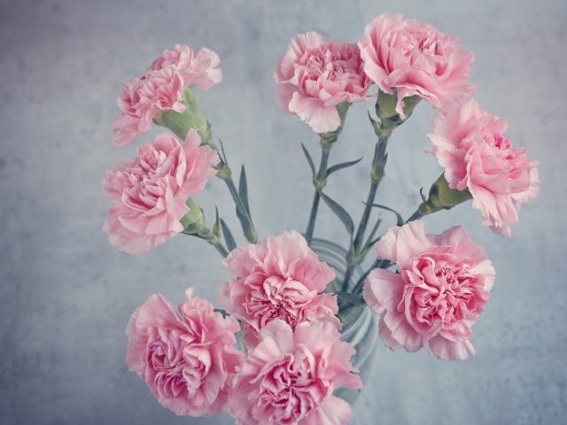 Букет розовых гвоздик в вазе на столе