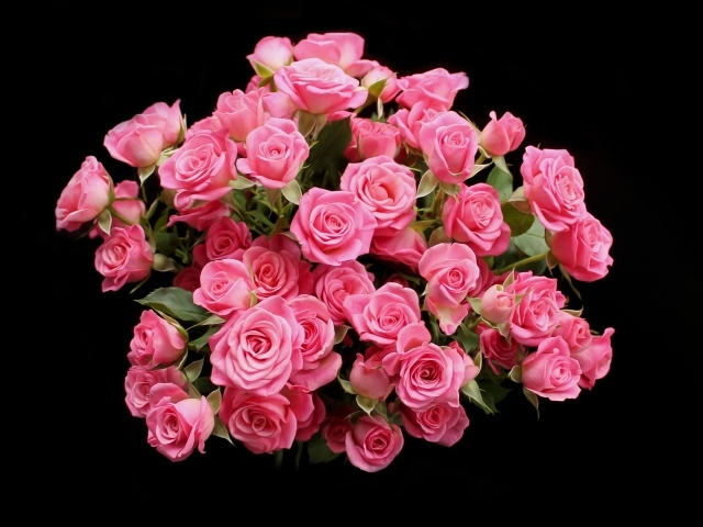 Букет розовых роз на черном фоне
