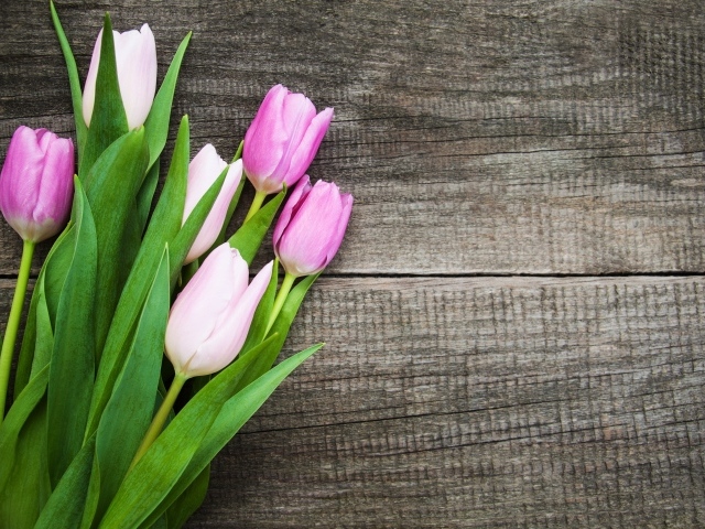Букет розовых тюльпанов на старом деревянном фоне 